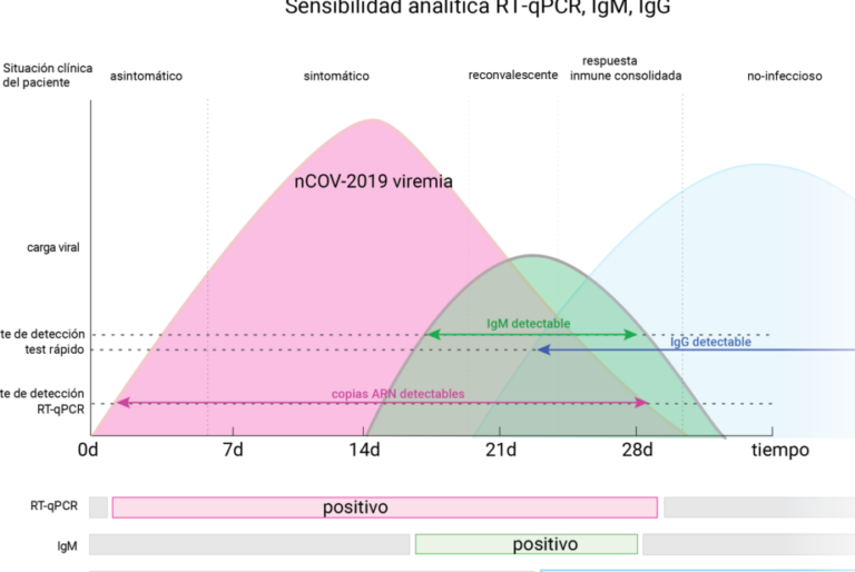 ¿Cuántos días dar positivo en COVID? | Tiempo de detección del virus
