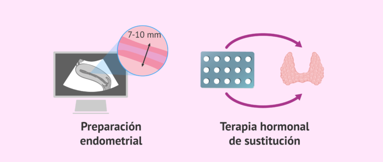 Progyluton Comprimidos Recubiertos: Usos y Beneficios para FIV